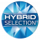 Hybrid Selection Logo